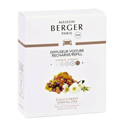 ambientador de coche