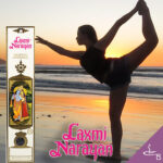 Incienso Stick Aloe Vera