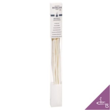 Varillas de Sauce para Mikado