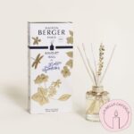 mikado lolita lempicka