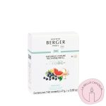 Recarga Difusor de Coche Fresh Spirit (2 unidades)