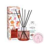 mini bouquet perfumado Fresh Spirit, ambientador varillas, Maison Berger, difusor pequeño, aroma limpio, Estivale, decoración aromática, bouquet 80ml